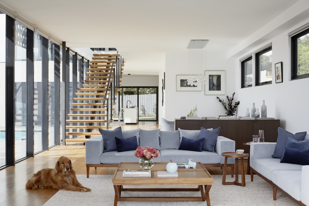 Open living room with family dog by the stairs